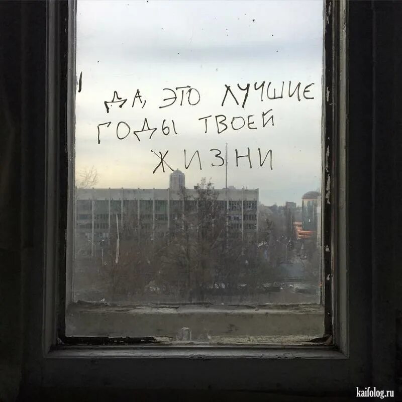 Год окну жизни. Это лучшие годы твоей жизни. Да это твои лучшие годы. Экспериментальный юмор. Лучшие годы жизни.