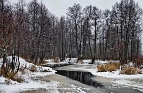 Был конец ноября до самого