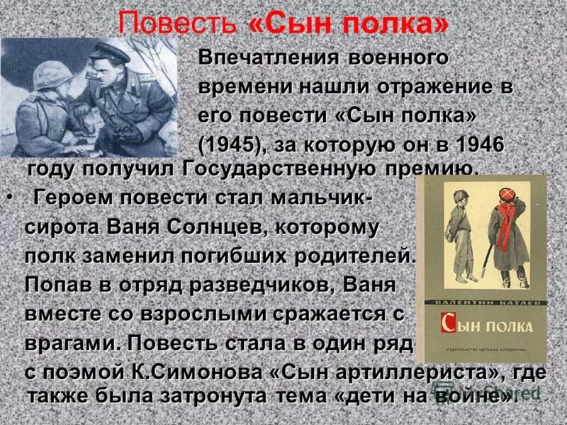 Краткое содержание книги катаева сын полка