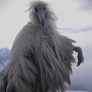 Птица из 2027 как называется