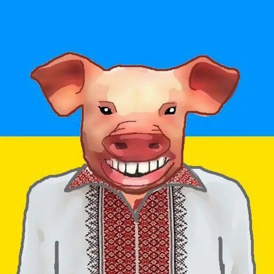 Украинские свинки. Свинья в вышиванке. Свинья на украинском фоне.