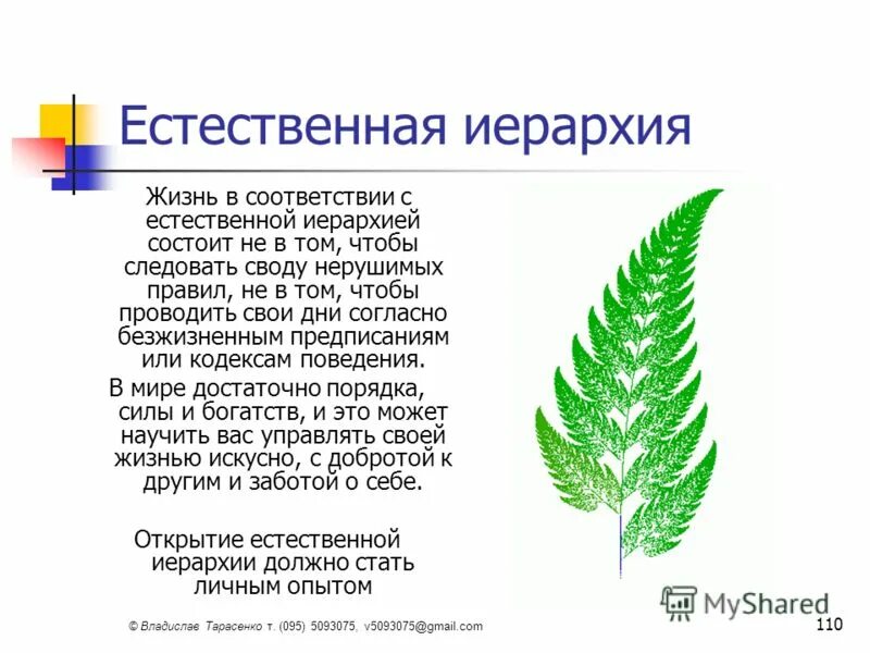 Естественная иерархия. Иерархия для презентации. Презентация на тему иерархия ценностей. Иерархическое общество. Традиционная иерархия.
