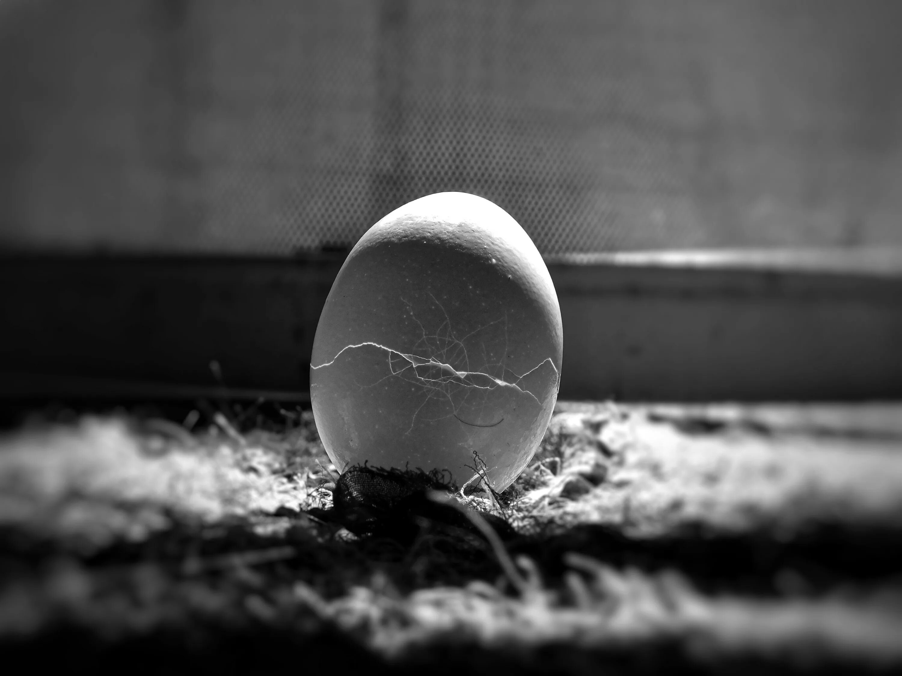 Cracking eggs