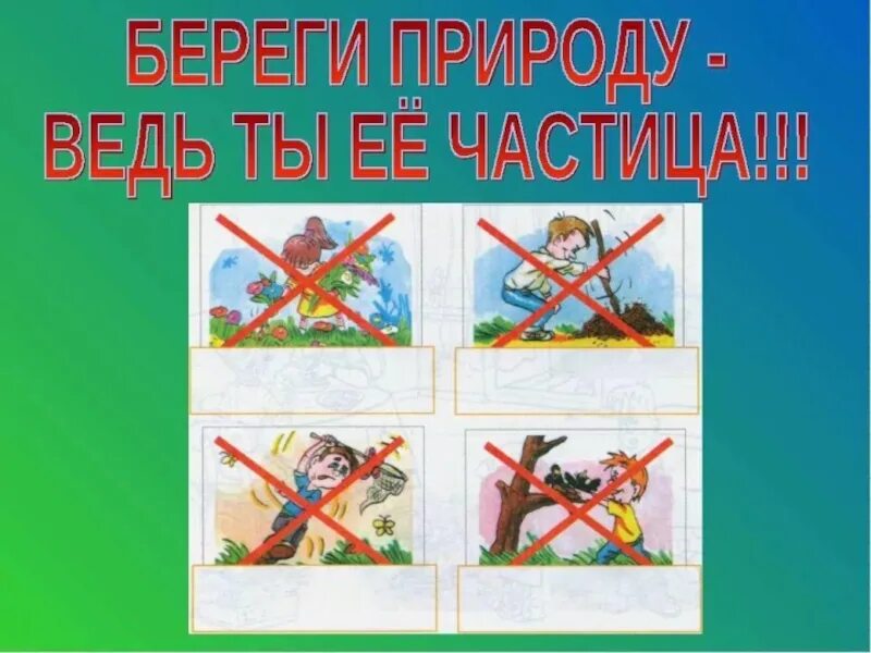 Материал береги природу. Берегите природу. берегите природу презентация. проект береги природу. берегите природу реферат.