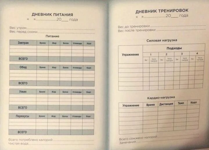 Дневник зож. Дневник питания. дневник питания и тренировок. дневник контроля тренировок. дневник питания таблица.