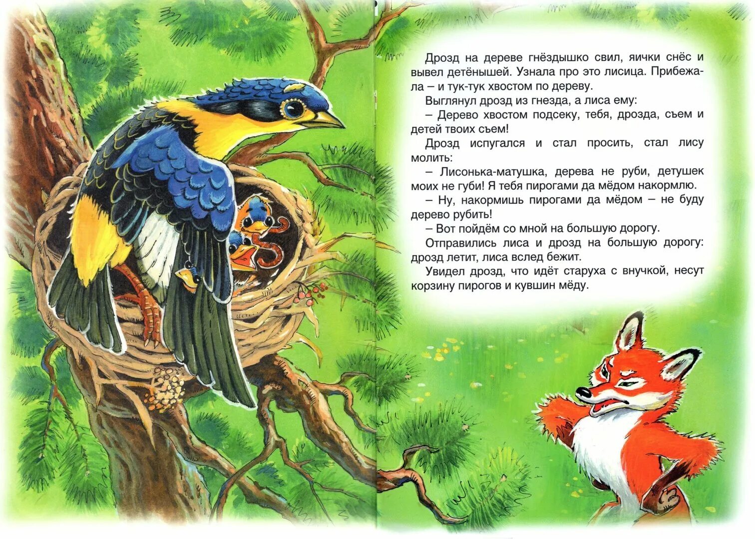 Увидел дрозд что идет старуха с внучкой. "Лиса и Дрозд" (1946 г., реж. А. Иванов). Сказки лиса и Дрозд. Сказки про птиц. Лиса и Дрозд иллюстрации к сказке.