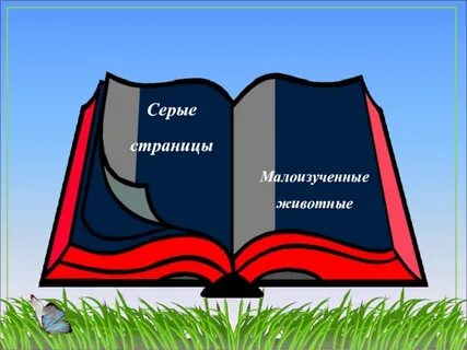 Красная книга серые страницы