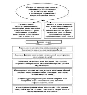 Индивидуальные особенности эмоциональных процессов