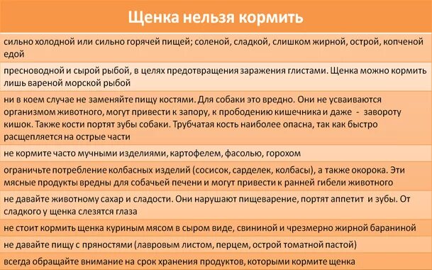 Как кормить 1 месячного щенка. Кормление 5 месячного щенка немецкой овчарки. Чем кормить щенка 3 месяца. Чем кормить щенка в 1.5 месяца.