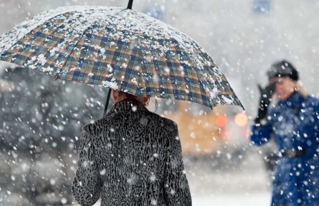 Идет дождь. Мокрый снег. Мокрый снег. Мокрый снег. Зимняя оттепель картинки.