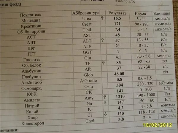 Анализ расшифровка аббревиатуры. Норма показателей биохимического анализа. Биохимия показатели нормы. Как расшифровать анализ крови на биохимию. Показатели биохимии крови расшифровка у взрослых.