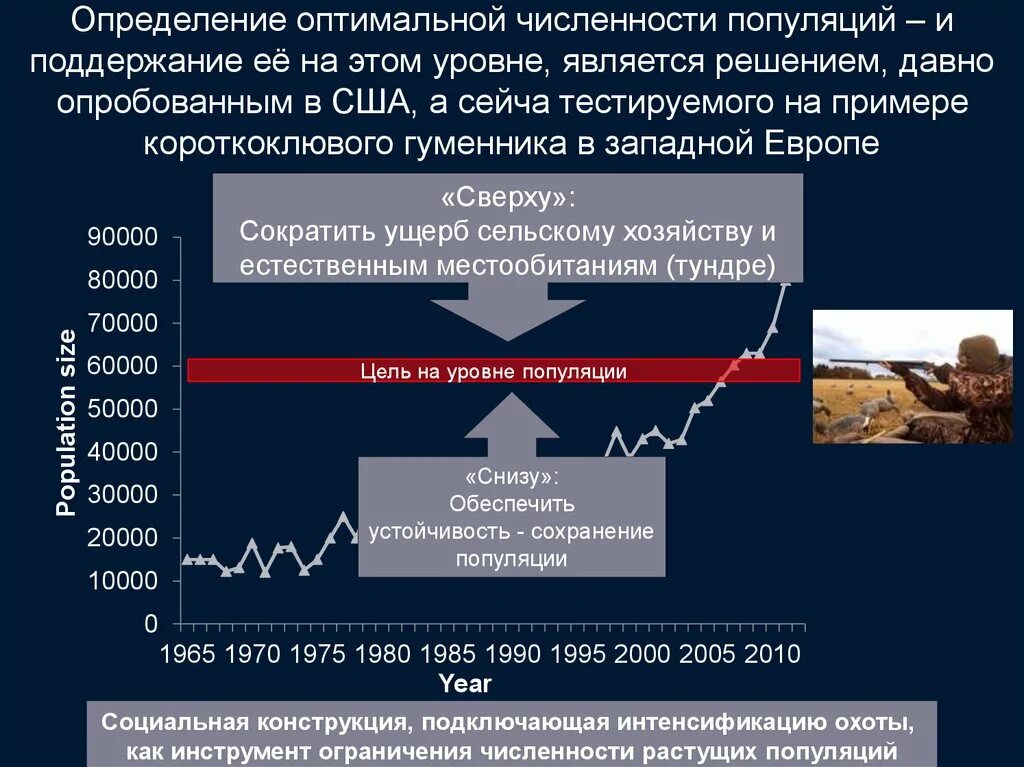 Оптимальная численность населения это