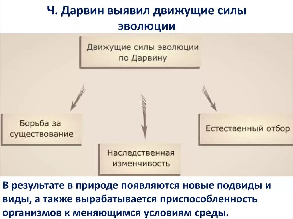 Главным фактором эволюции является. Основные движущие силы по Дарвину. Основные движущие силы эволюции Дарвина. Движущие силы эволюции схема. Факторы движущие силы эволюции.