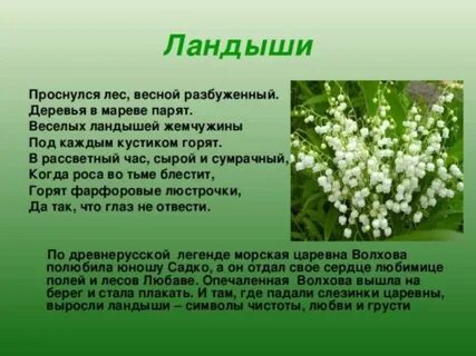 Легенда о растении 2 класс