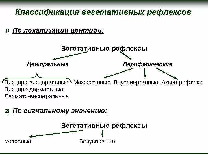 Классификация вегетативных рефлексов. Классификация автономных рефлексов. Вегетативные рефлексы, их классификация и особенности.. Вегетативные рефлексы физиология примеры.