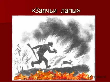 Рисунок к рассказу зайчие лапы