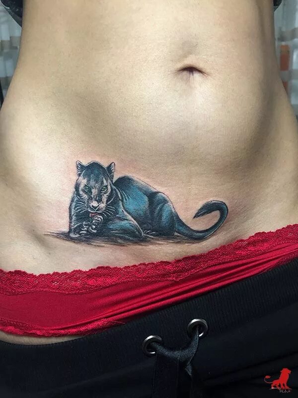 Тату кошка. Тату кошечка маленькая на пояснице. Кот на животе у девушки. Котики животики. Кот на животе у девушки.