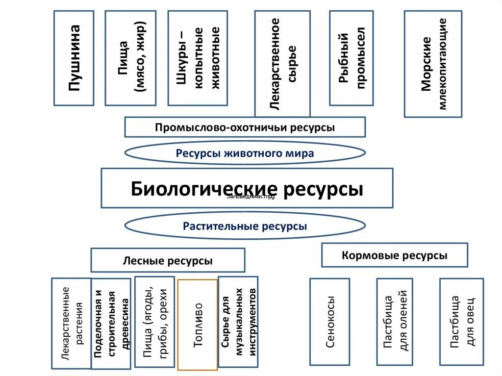 Ресурсы биология 5 класс. Ресурсы биология 5 класс. Биологические ресурсы таиланда. Электронные образовательные ресурсы биология 5 класс. Ресурсы биология 5 класс.