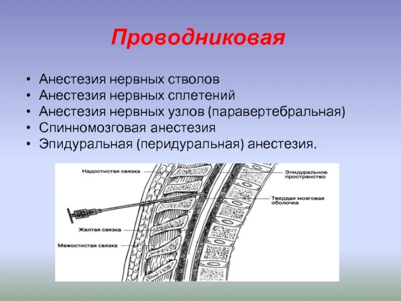 Нервная блокада. Паравертебральная новокаиновая блокада. Паралюмбальная проводниковая анестезия. Паравертебральная блокада в акушерстве. Проводниковая спинальная анестезия.