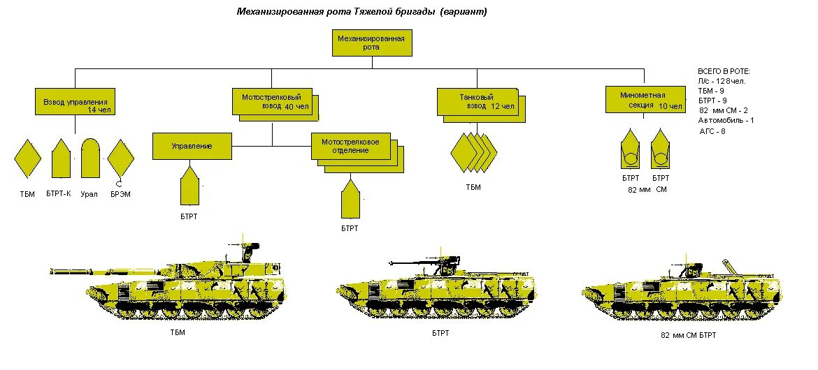 Штурмовая рота мотострелков. Танковая бригада оргштатная структура. ОШС танковой бригады вс РФ. Организационно-штатная структура танковой бригады США. Структура танкового батальона вс РФ.