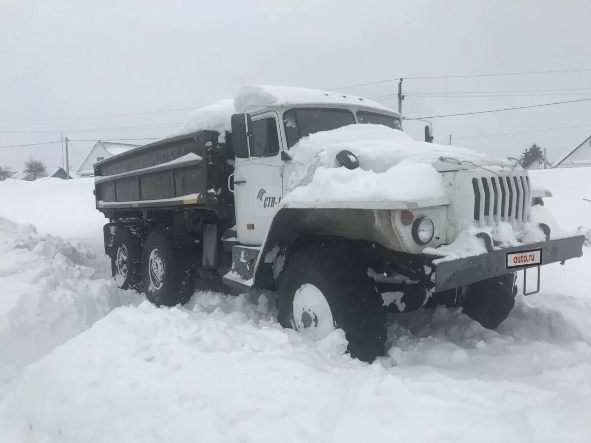 В уральские купить машину. Автомобиль Урал 5557. Урал самосвал 5557 военный. Урал 5557 сельхозник. Урал 5557-01.