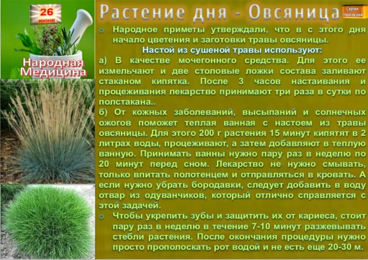 Преимущественно травы