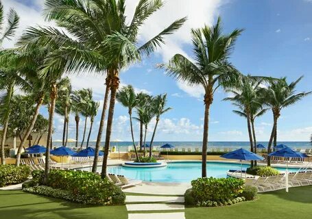 Palm beach resort отзывы