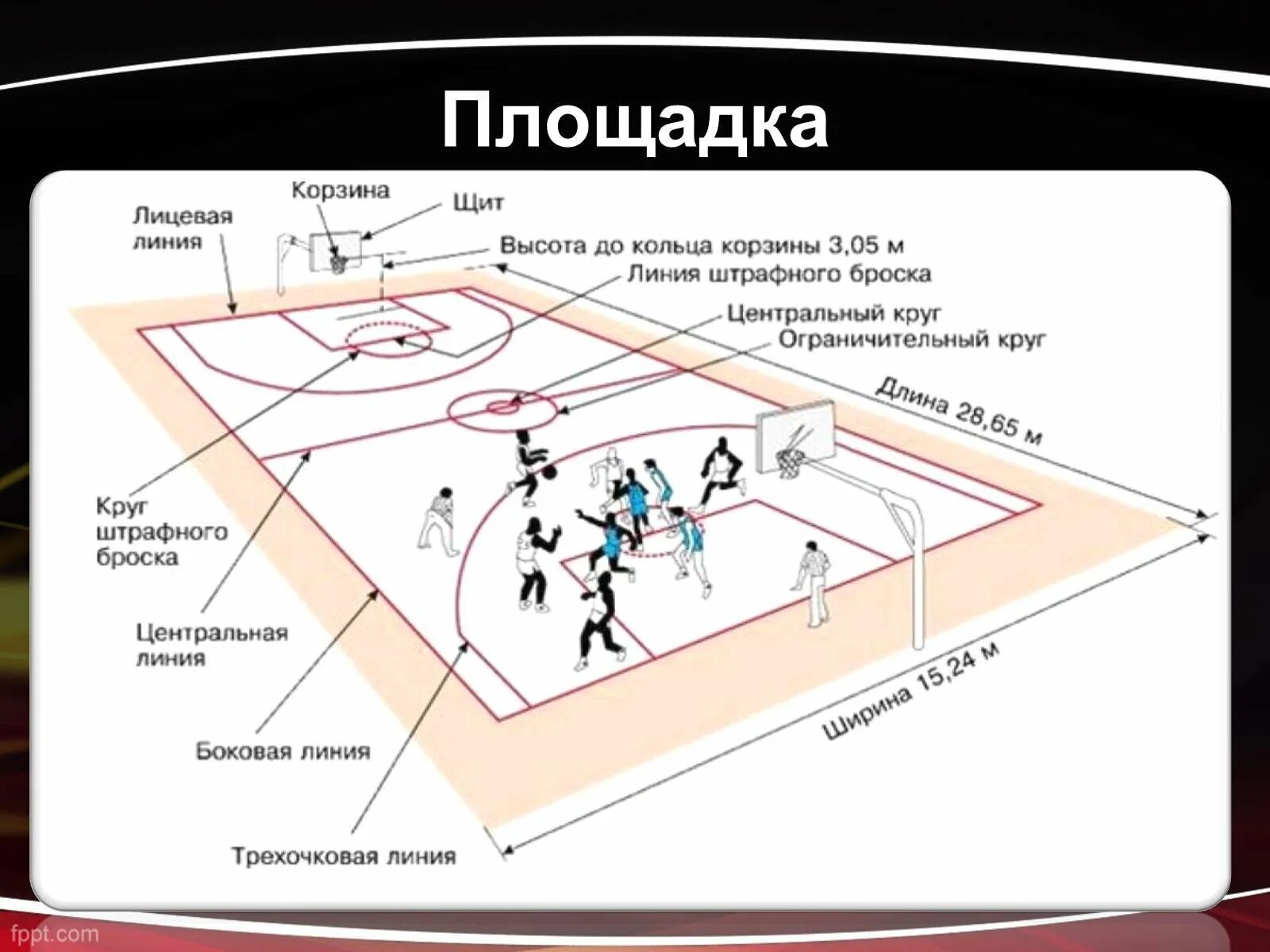 Сколько игроков может находиться на баскетбольной площадке