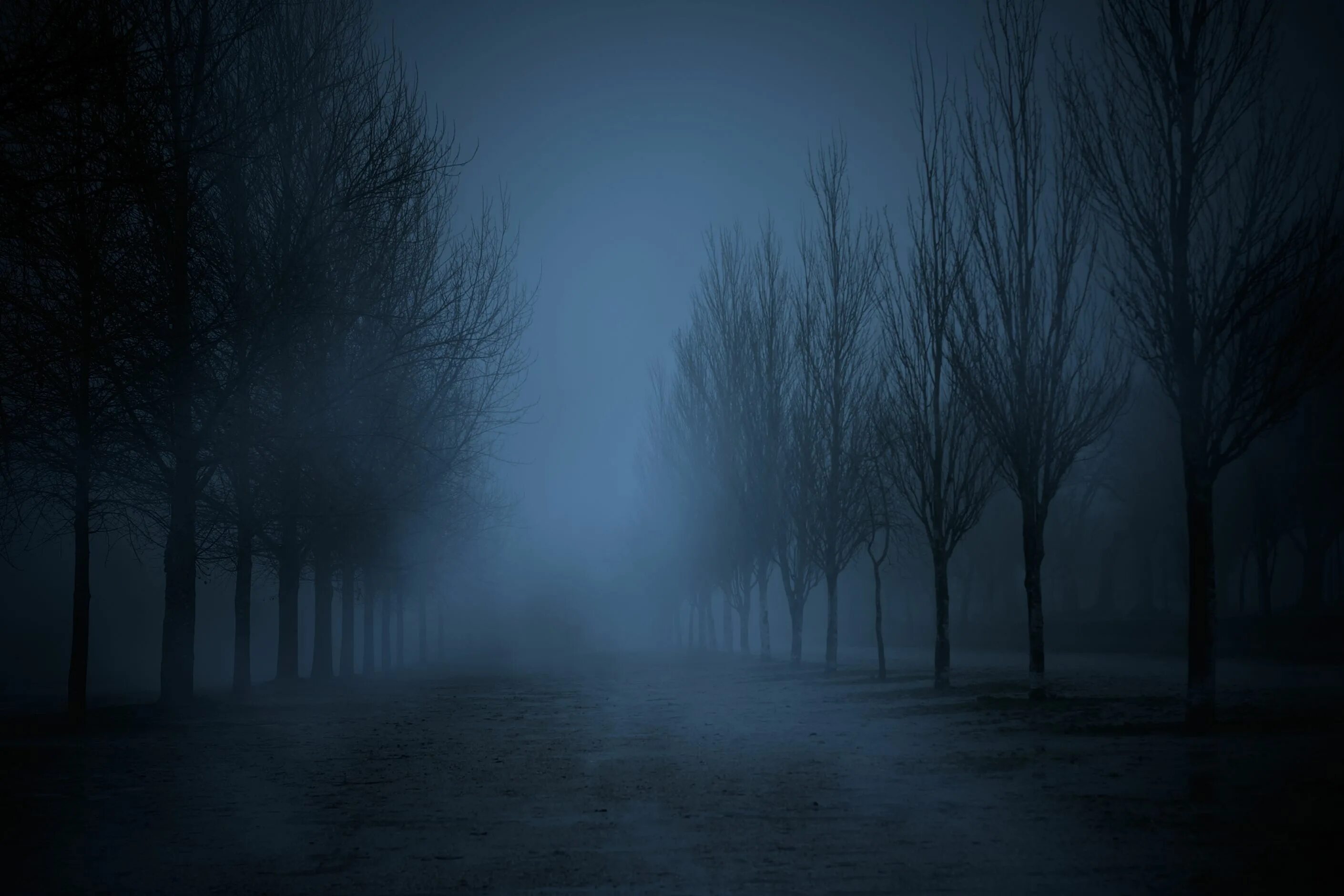 Туман ночью. Мрачный пейзаж. Темнота. Темный фон. Мрак мрачный