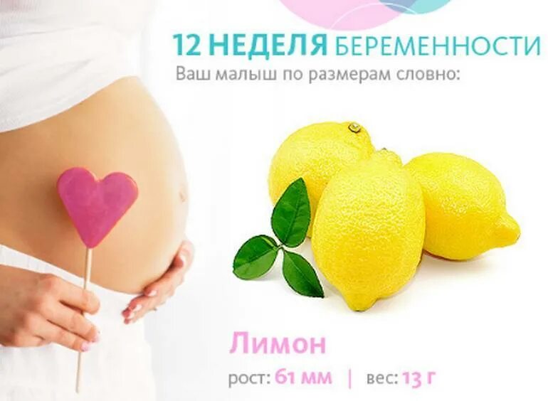 Эмбрион в 12 недель беременности размер плода. 12 Недель беременности рамер плода. .Еременность12 недель размер плода. Размер ребенка на 12 неделе. 0 12 недель