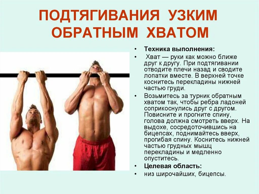 Какие мышцы работают при разных подтягиваниях. Подтягивания узким обратным хватом. подтягивания параллельным хватом мышцы. подтягивания узким параллельным хватом. подтягивания на турнике какие мышцы работают.