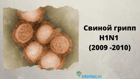 Грипп 2009