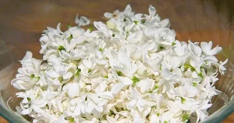 Готовим цветы