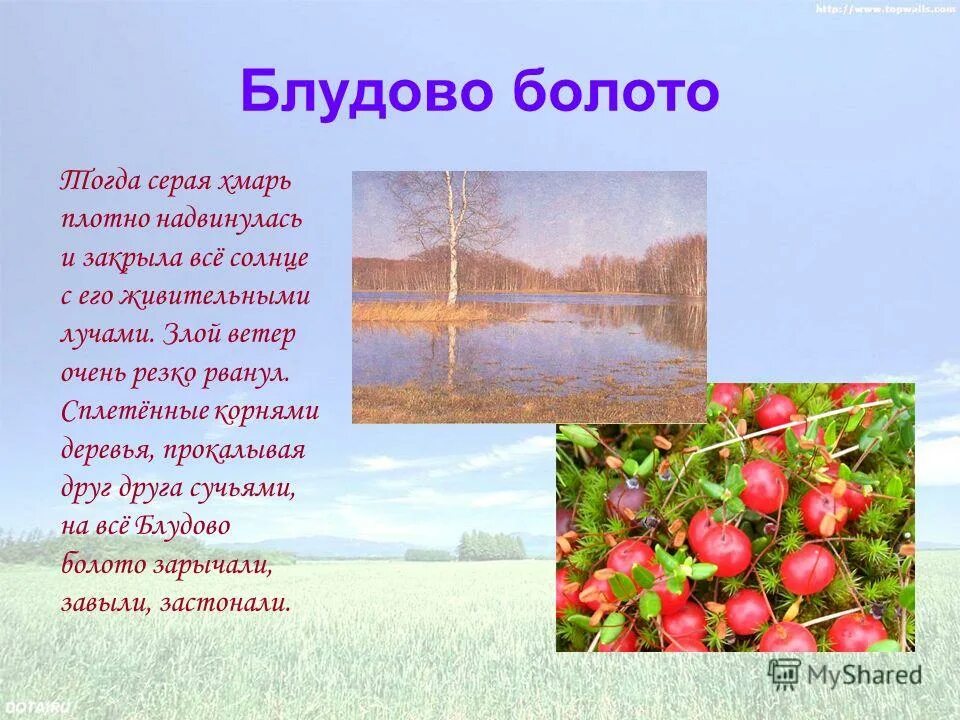 Блудово болото встречает детей неприветливо. Блудово болото встречает детей неприветливо. Блудово болото информация. Блудово болото пришвин. Блудово болото встречает детей неприветливо.