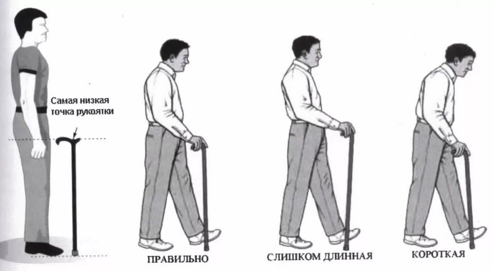 Как правильно подобрать костыли. Трость после эндопротезирования тазобедренного сустава. Трость для опоры при ходьбе. Трость для ходьбы после перелома. Хождение с тростью.