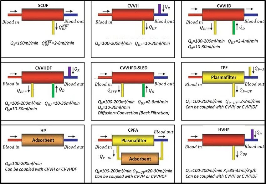 Скуф что это значит в молодежном. Cvvhdf схема MULTIFILTRATE. СКУФ термин. СКУФ на английском. Cvvhd.