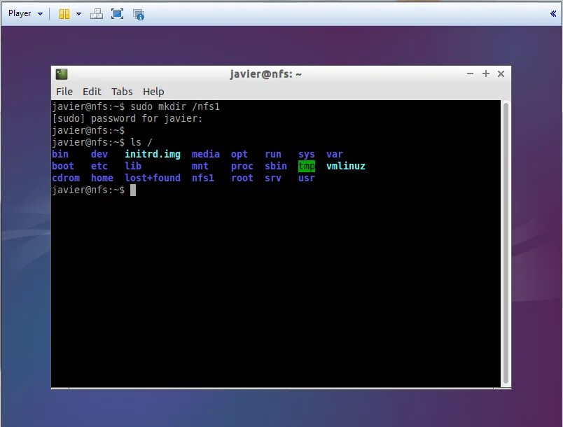 Как установить ядро на сервер. Nfs linux. nfs сервер lenovo. network file system ubuntu. ubuntu add nfs.