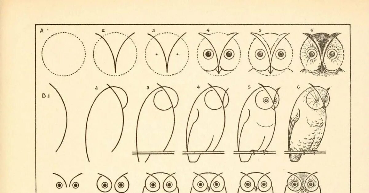 Пошаговые уроки с нуля. Сова рисунок. Как нарисовать сову. Легкие рисунки. Рисунки для срисовки лёгкие.