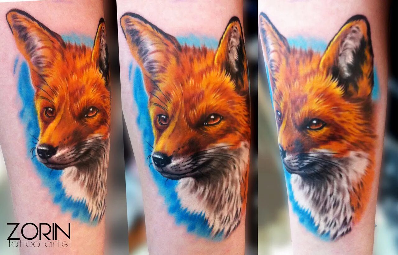 Морда лисы. Фокс лиса. Обыкновенная лисица (рыжая лисица). Тату лиса. Хитрый лис значение.