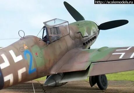 Комбо зомяк 6 августа