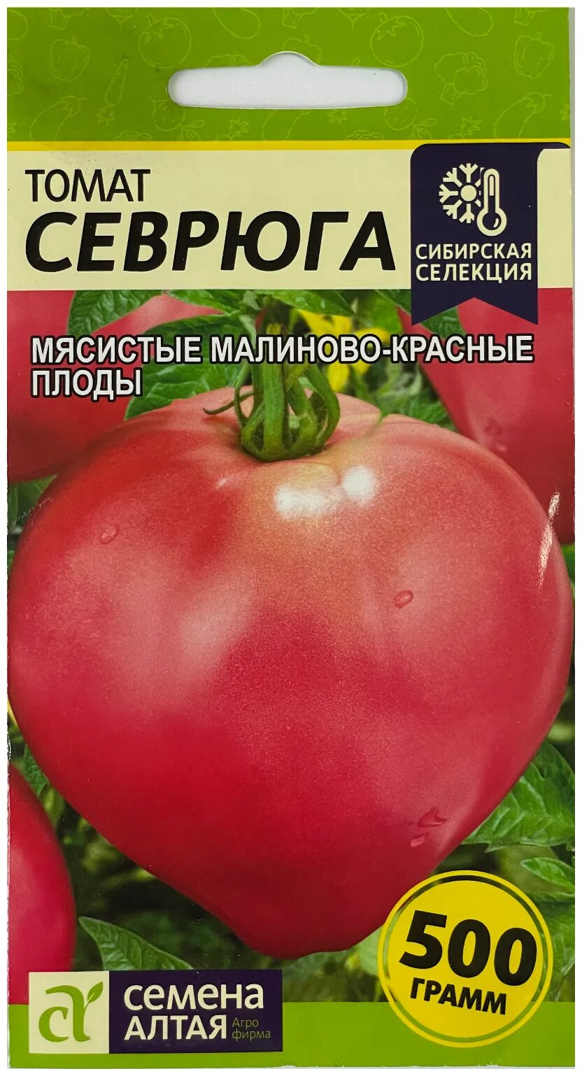 Сорт томатов севрюга отзывы. Семена томат севрюга. томат севрюга сибирский сад. томат севрюга семена алтая. семена помидор севрюга.