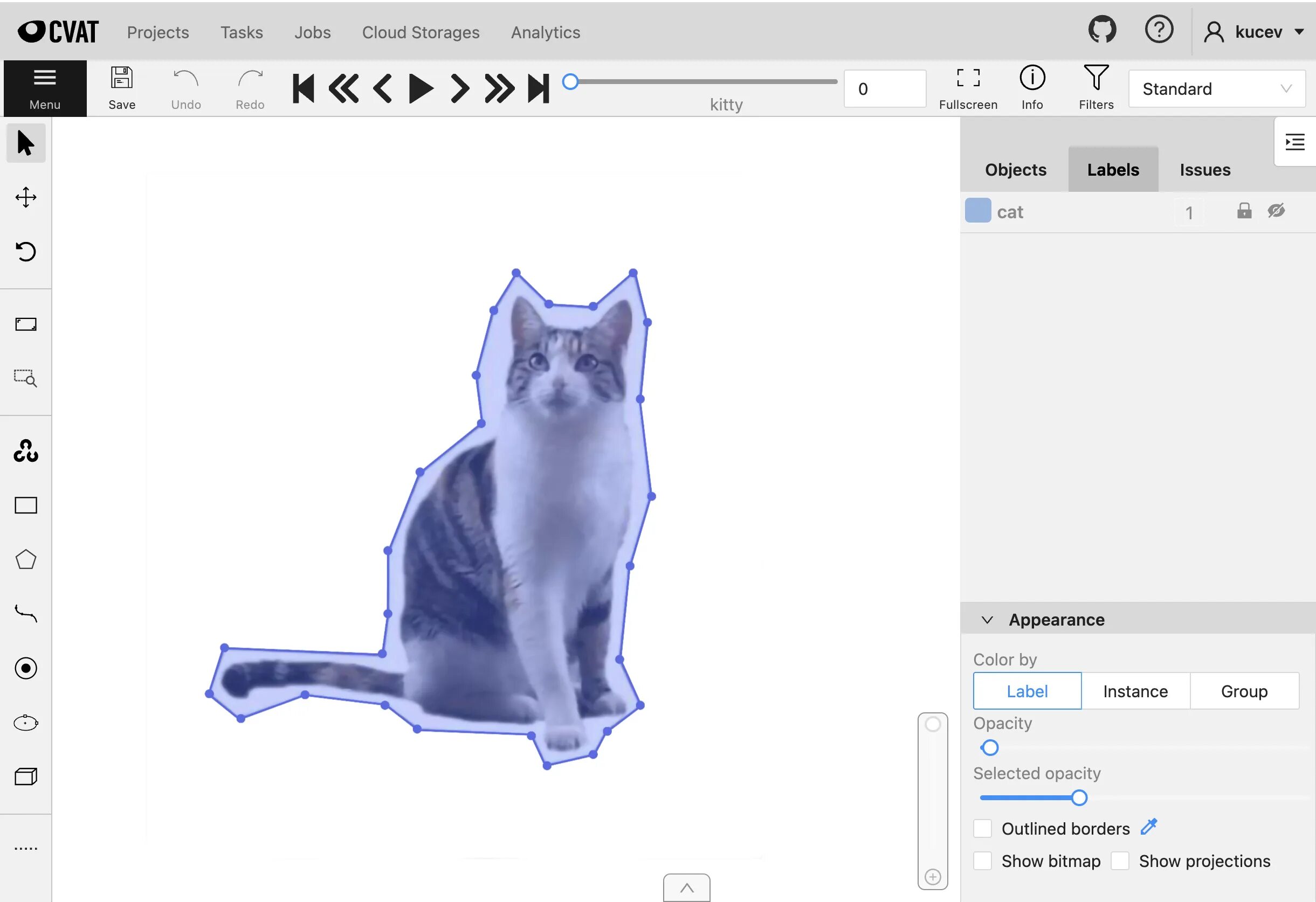 Просматриваемые фото. Cvat разметка. Cvat разметка данных. Cvat разметка. Computer vision annotation tool.