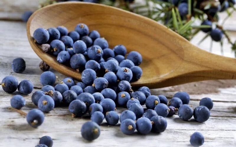 можжевельниковая водка.