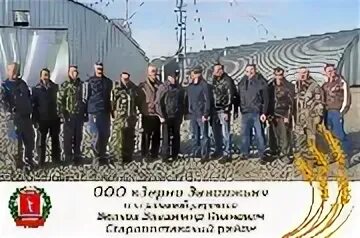 Тд зерно