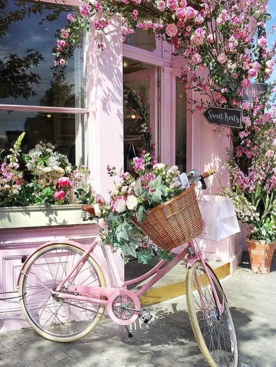 Велосипед в цветах зеленый. Велосипед с цветами. Красивые велосипеды. Велосипед с корзинкой цветов. Велосипед Прованс.