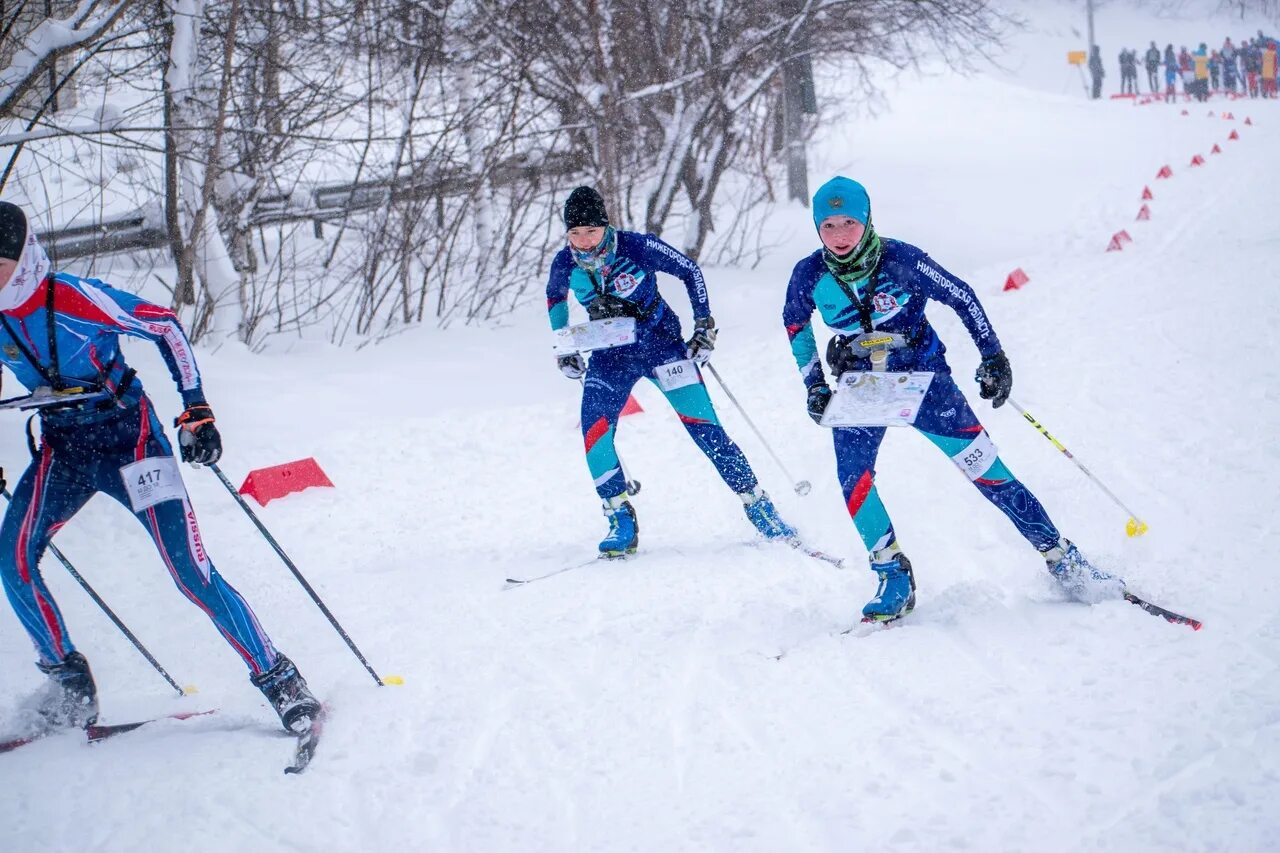 Три лыжных спортсмена. Лыжи спорт. Спринт лыжи. Спортивное ориентирование на лыжах. Лыжные гонки девочки.