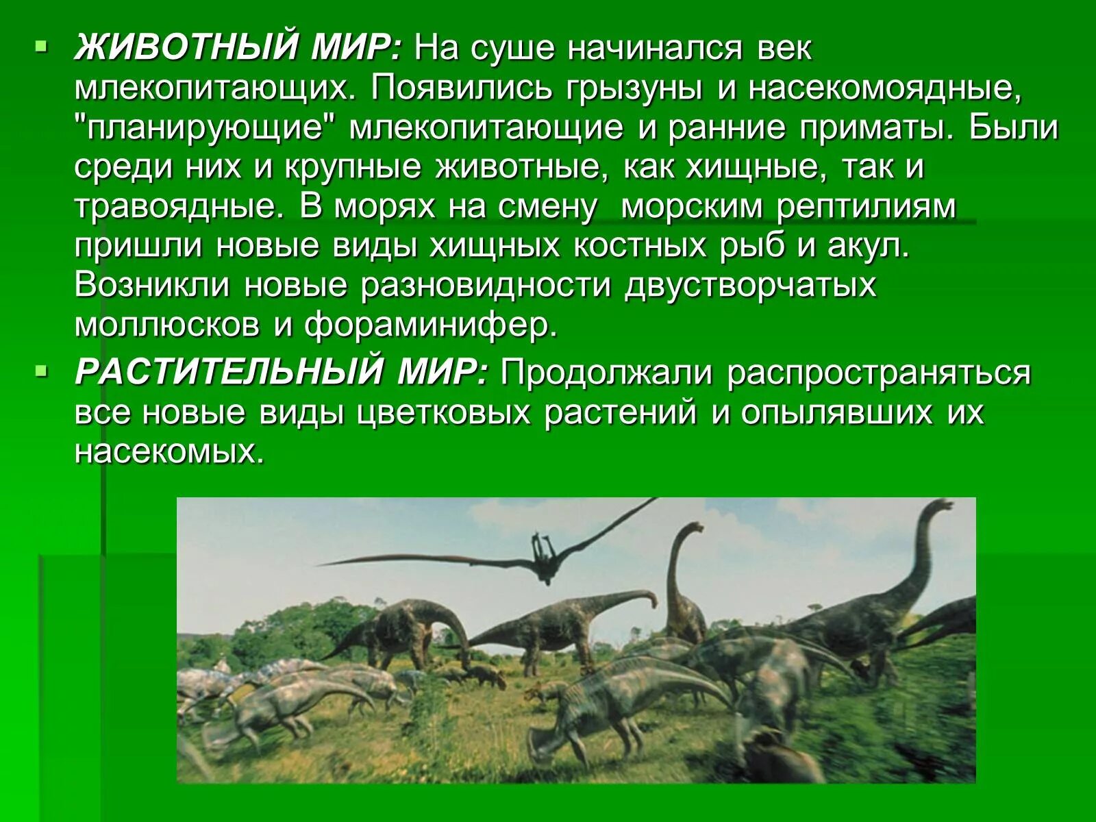 Жизнь на суше появилась. Жизнь на суше презентация. Доклад на тему жизнь на суше. Животный мир суши презентация. Растения обитатели суши.