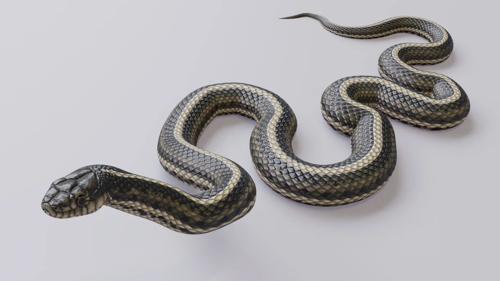 Snake мод. Змея 3д. Змея 3д модель. Змеи белые. Змея 3.