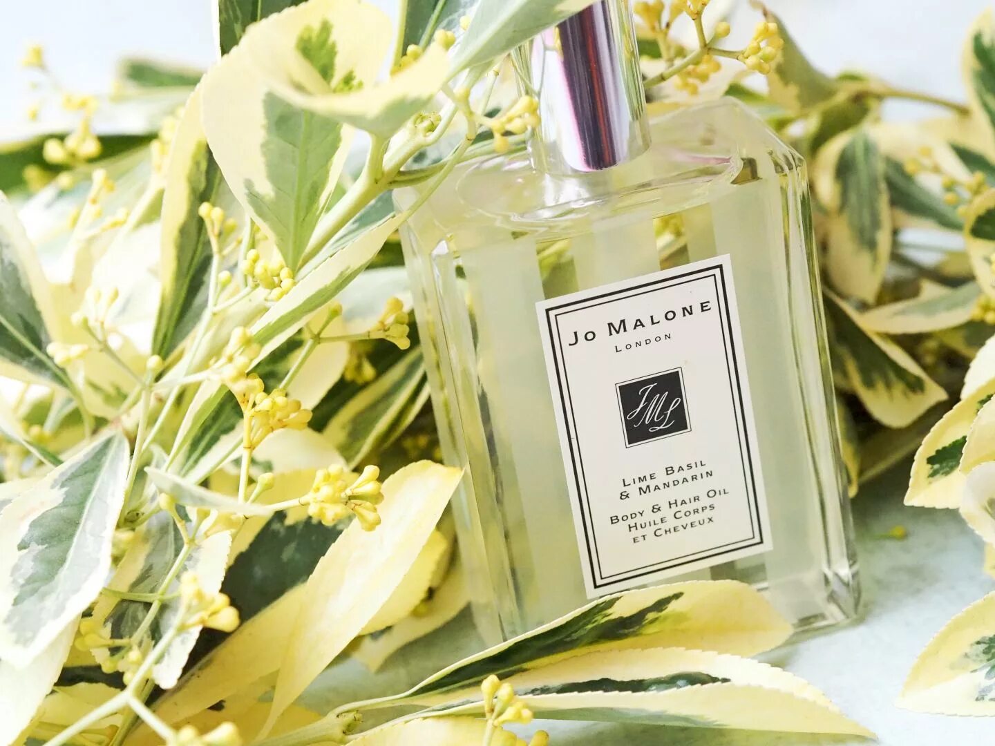 Джо Малон мандарин. Джо Малон базилик. Jo Malone Lime. Джо Малон духи мандарин базилик. Joe malone