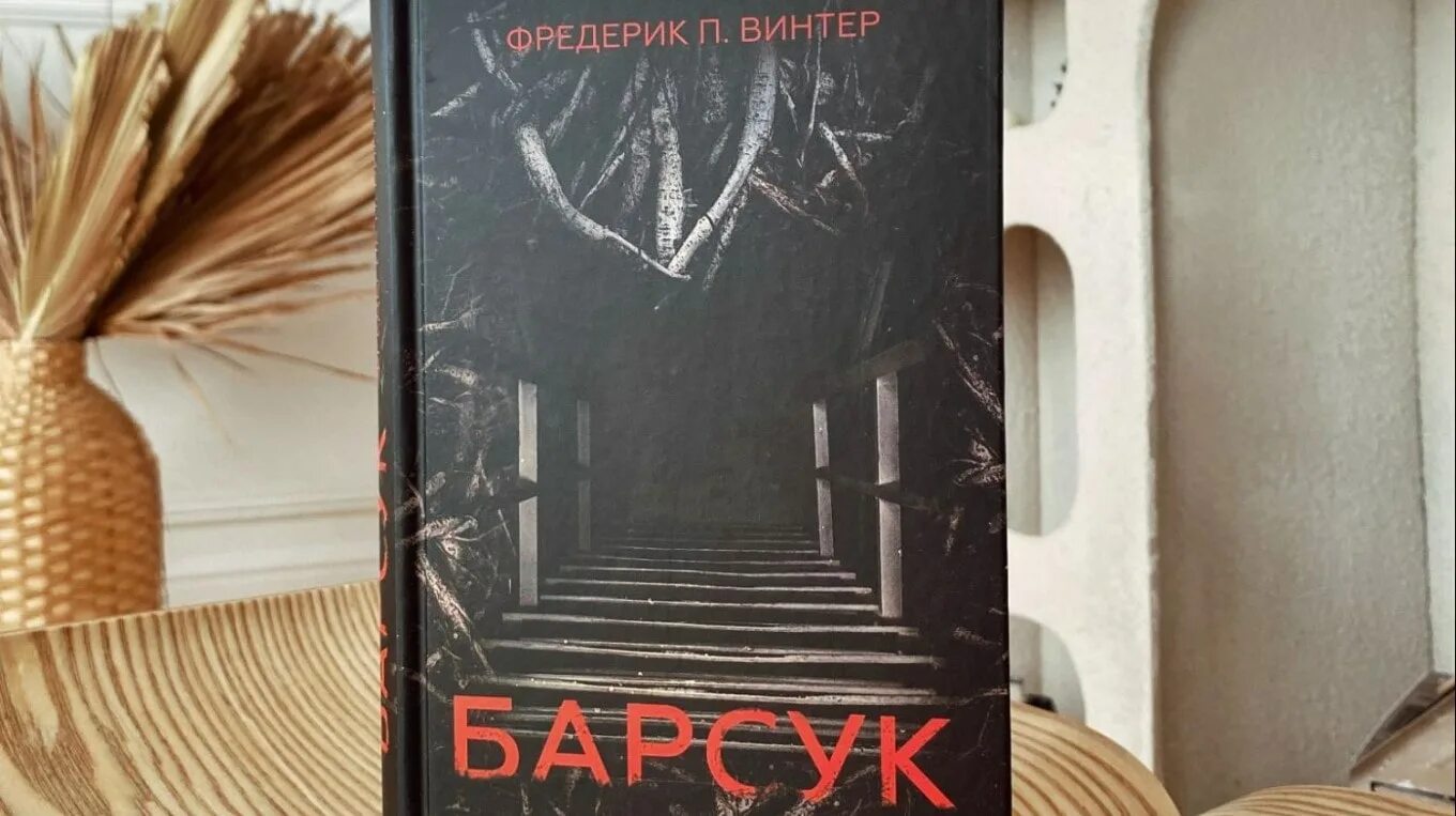 Книга через пять лет ребекка серл. Через пять лет книга. Книга через пять лет ребекка серл. Пять лет. Ребекка серл книги.